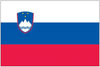 Словенский